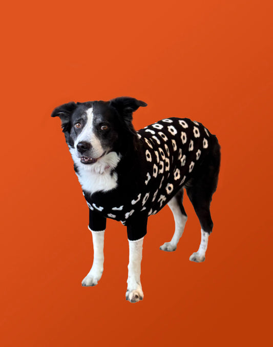 Doggo Ipom Pay’s