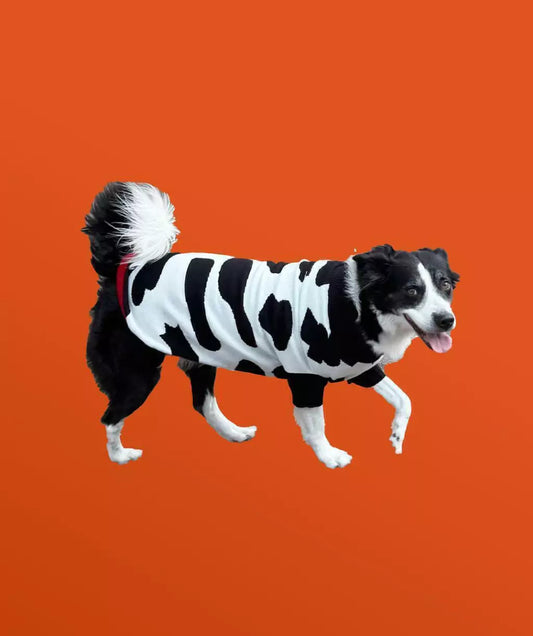 Doggo Not a Cow Pay’s Talla S